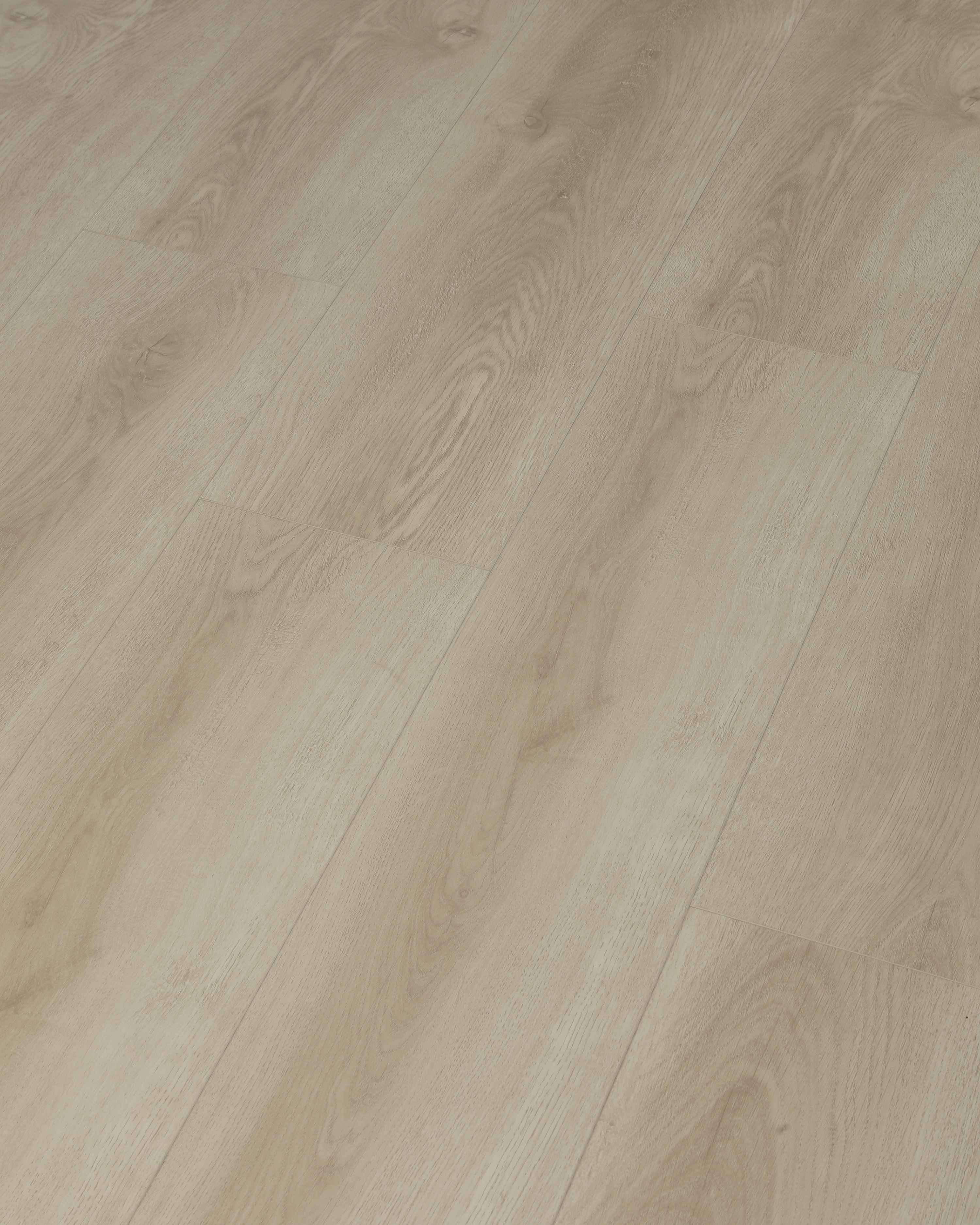 Denton XL (Nouveau) (Quantité limitée disponible)