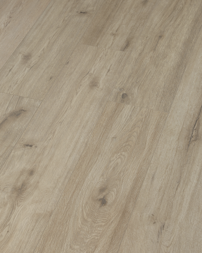 Denton XL (Nouveau) (Quantité limitée disponible)