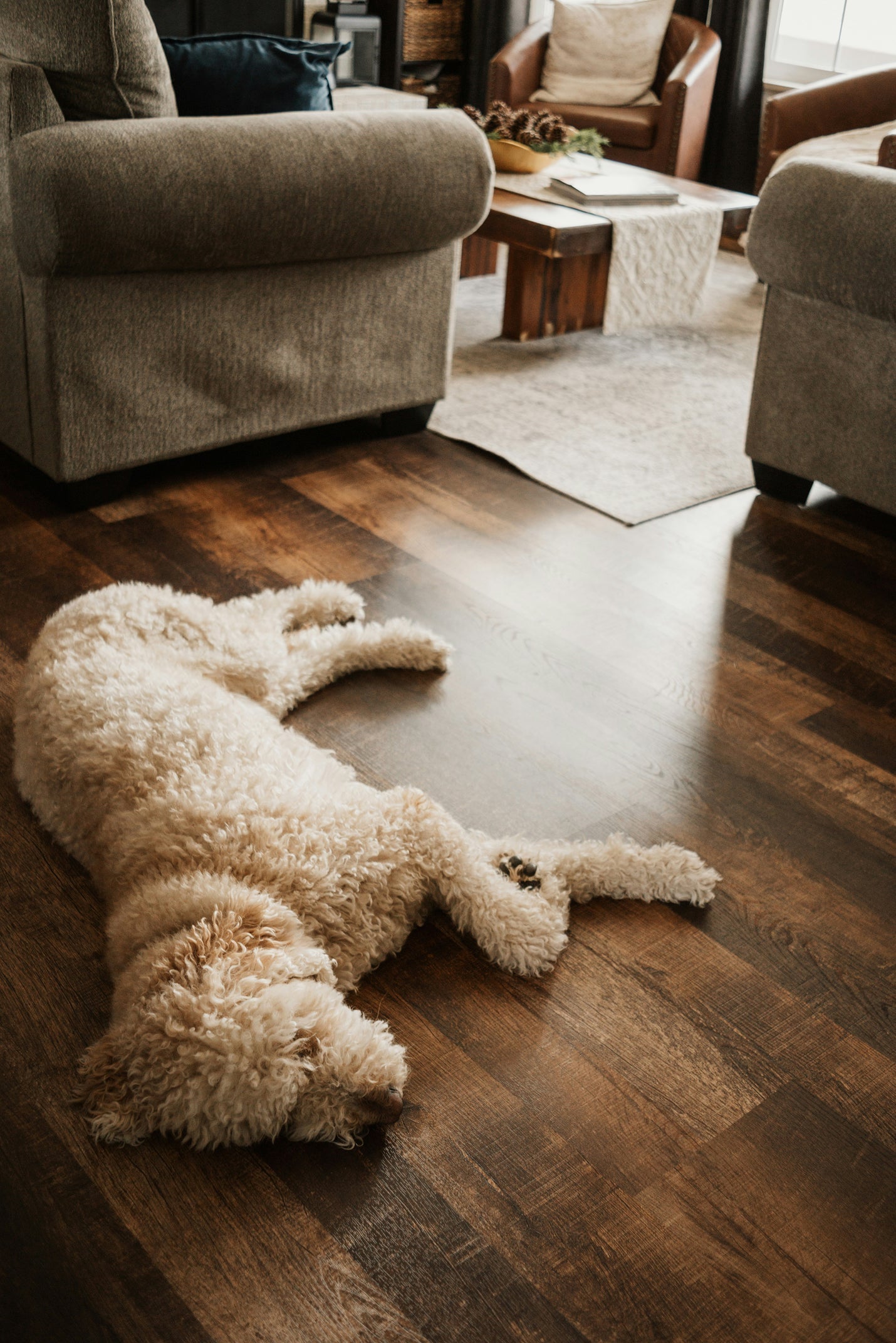 Engineered Hardwood for Dogs: Best Scratch-Resistant Options