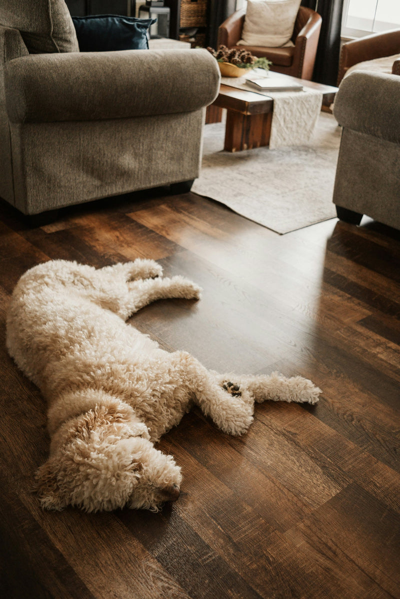 Engineered Hardwood for Dogs: Best Scratch-Resistant Options